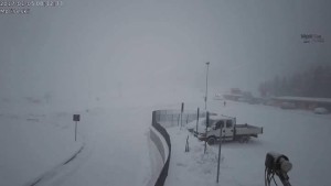 neve campitello 2017