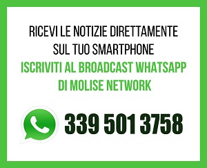 WhatsApp Molise Network