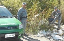 ISERNIA - Abbandono di scarti domestici, 600 euro di multa ad una donna