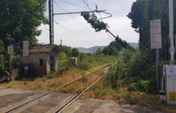 MALTEMPO - Treni Venafro-Roccaravindola, albero caduto: circolazione ferroviaria in tilt