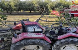 CRONACA - Agricoltore incastrato tra albero e trattore, liberato dai Vigili del Fuoco