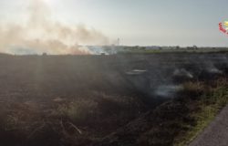 INCENDIO - Oltre sette ettari di incolto a fuoco, le fiamme lambiscono un maneggio