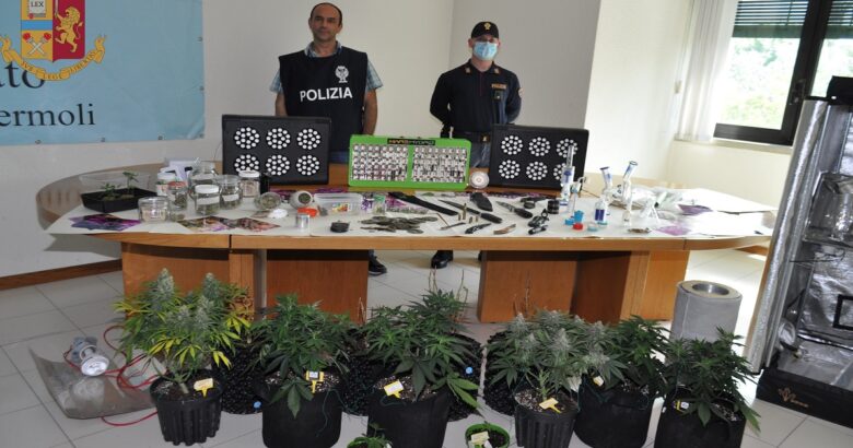 Operazione Drug Indoor, arrestato 38enne produzione coltivazione sostanze stupefacenti