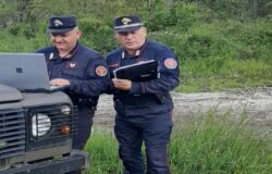 CRONACA - Carabinieri Forestali, sequestrati 60 ettari di bosco all'interno di un Sito d'Importanza Comunitaria