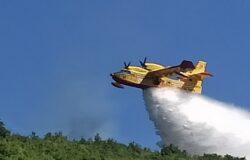 Incendio, Santa Maria Oliveto, denunciato, pensionato