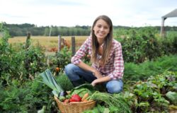 AGRICOLTURA, Donne in campo, sostegno, imprenditrici agricole 