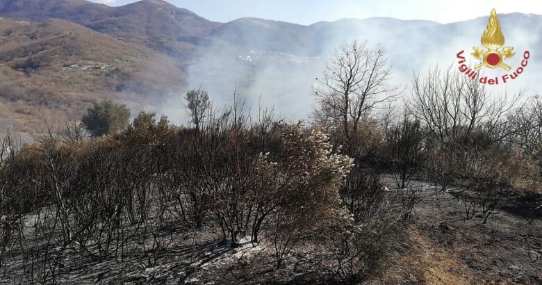 INCENDIO, Bruciati, bosco, macchia mediterranea