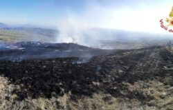 Incendio, macchia mediterranea