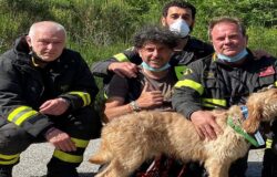 Vigili del Fuoco, cane in burrone, salvataggio, Monte Patalecchia, Castelpetroso