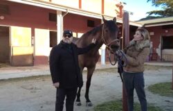 Sport equestre, protocollo d'intesa, Università del Molise, FISE Molise