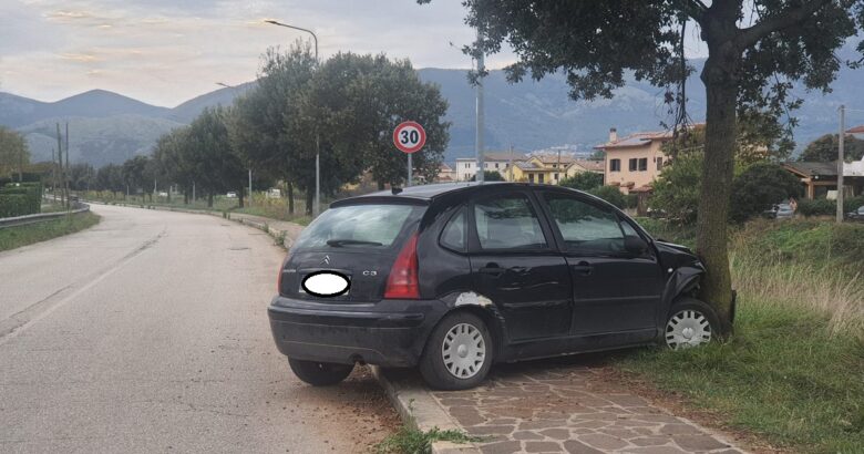 Venafro, fuori strada, auto, albero