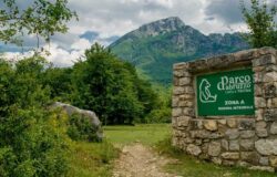 Consiglio regionale, approvato, Piano del Parco Nazionale d’Abruzzo Lazio e Molise